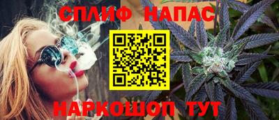 гашик Бузулук