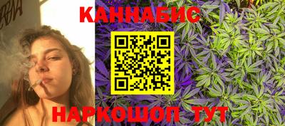 сатива Будённовск