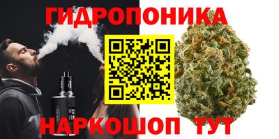 сатива Будённовск