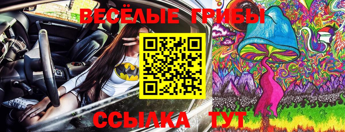 Псилоцибиновые грибы мицелий Саяногорск