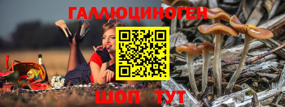 Галлюциногенные грибы Magic Shrooms  Вход с VPN  Галлюциногенные грибы ЛСД  Саяногорск 